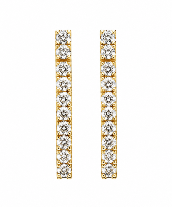 18K Yellow Gold Earrings (2.38g)