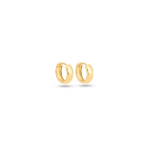 18K Yellow Gold Earrings - 2.51g