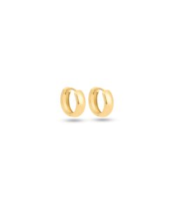 18K Yellow Gold Earrings - 2.51g